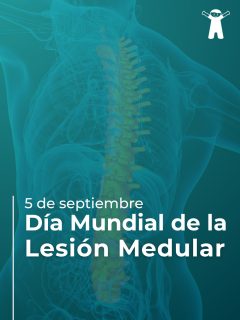 💙 Hoy, 5 de septiembre, en el Día Mundial de la Lesión Medular, queremos visibilizar la importancia de la prevención, el tratamiento y la rehabilitación.
Una lesión medular puede cambiar la vida de una persona, pero con un abordaje integral y acompañamiento profesional es posible recuperar independencia, mejorar la calidad de vida y favorecer la reinserción social.
En ALPI trabajamos con equipos interdisciplinarios, tecnología de rehabilitación y acompañamiento a pacientes y familias.
📍 Soler 3945, CABA
📞 (011) 4839-7700
📲 +54 911-3332-9926
✉️ turnos@alpi.org.ar
#DiaMundialdelaLesionMedular #LesionMedular #Rehabilitación #Salud #ALPI