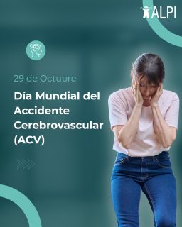 La rehabilitación neuromotriz es clave para mejorar la movilidad, fuerza y autonomía en personas con lesiones neurológicas.
Indicado para pacientes que han tenido ACV, Parkinson, traumatismos o enfermedades neuromusculares.
En nuestra clínica, diseñamos planes personalizados con enfoque interdisciplinario.
 
Contactanos para más información y turnos. 💪
📍 Soler 3945, CABA
 📞 (011) 4839-7700 / whatsapp 113-332-9926�
 📧 turnos@alpi.org.ar
 #RehabilitaciónNeuromotriz #Neurorehabilitación #SaludIntegral